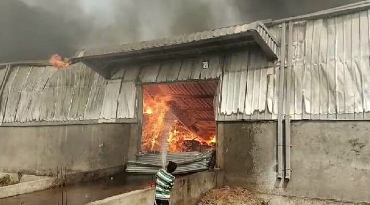 માતર GIDC માં આવેલા ઓઇલ પેપરના ગોડાઉનમાં લાગી ભીષણ આગ, તમામ વસ્તુ બળીને થઈ ખાખ gujarattak