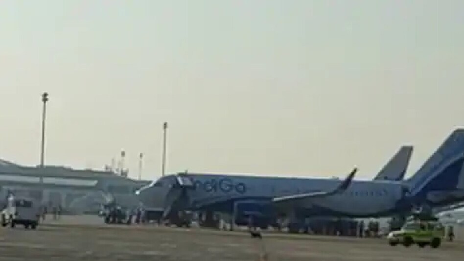 Ahemdabad: એરપોર્ટ પર કૂતરું આવી જતાં મચી દોડધામ, ટેકઓફ માટે જઈ રહેલા વિમાનને અથડાતાં રહી ગયું : Video gujarattak