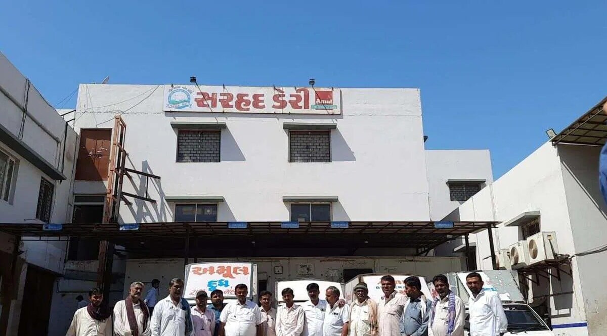 સરહદ ડેરીએ દૂધના પ્રતિ કિલો ફેટના ખરીદ ભાવમાં રૂ.20નો વધારો કર્યો, પશુપાલકોને માસિક રૂપિયા 2.25 કરોડ વધારે મળશે gujarattak