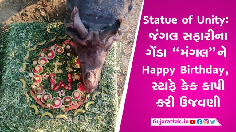 Statue of Unity: જંગલ સફારીના ગેંડા “મંગલ”ને Happy Birthday, સ્ટાફે કેક કાપી કરી ઉજવણી gujarattak