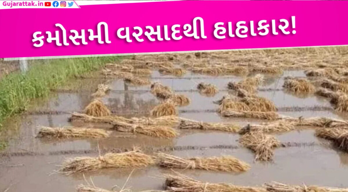 ઉનાળામાં ધોધમાર વરસાદઃ વહેલી સવારે અમદાવાદ સહિત ઉત્તર ગુજરાતમાં માવઠું ઉનાળામાં ધોધમાર વરસાદઃ વહેલી સવારે અમદાવાદ, રાજકોટ, ભુજ સહિતના વિસ્તારોમાં માવઠું