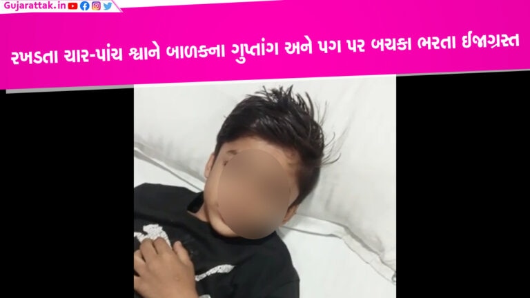 હાલોલમાં રખડતા ચાર-પાંચ રખડતા શ્વાને બાળકના ગુપ્તાંગ અને પગ પર બચકા ભરતા ઈજાગ્રસ્ત હાલોલ નગરમાં રખડતા શ્વાનોનો આતંક વધતો જઈ રહ્યો છે. આજે બુધવારે એક બાળક પર ચારથી પાંચ રખડતા શ્વાનોએ હુમલો કરી દીધો હતો.