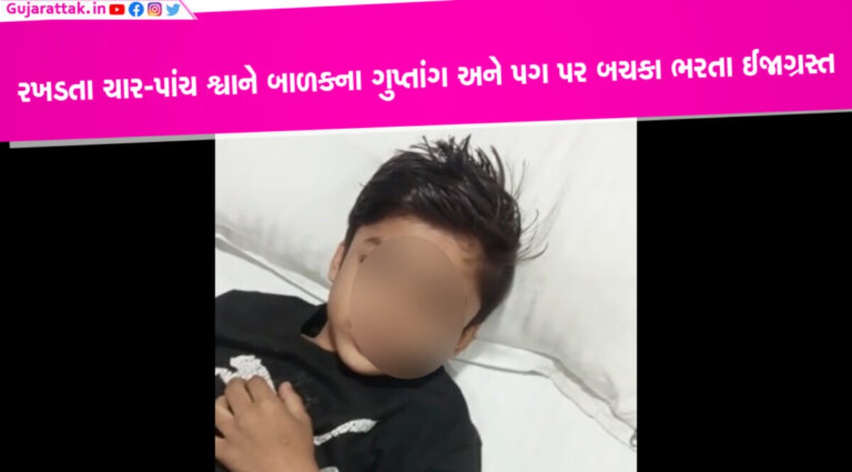હાલોલમાં રખડતા ચાર-પાંચ રખડતા શ્વાને બાળકના ગુપ્તાંગ અને પગ પર બચકા ભરતા ઈજાગ્રસ્ત હાલોલ નગરમાં રખડતા શ્વાનોનો આતંક વધતો જઈ રહ્યો છે. આજે બુધવારે એક બાળક પર ચારથી પાંચ રખડતા શ્વાનોએ હુમલો કરી દીધો હતો.