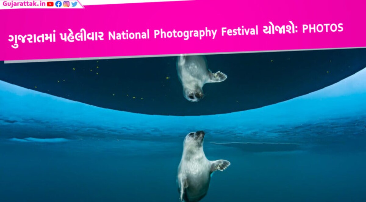 ગુજરાતમાં પહેલીવાર National Photography Festival યોજાશેઃ જુઓ અદ્ભૂત તસવીરો gujarattak