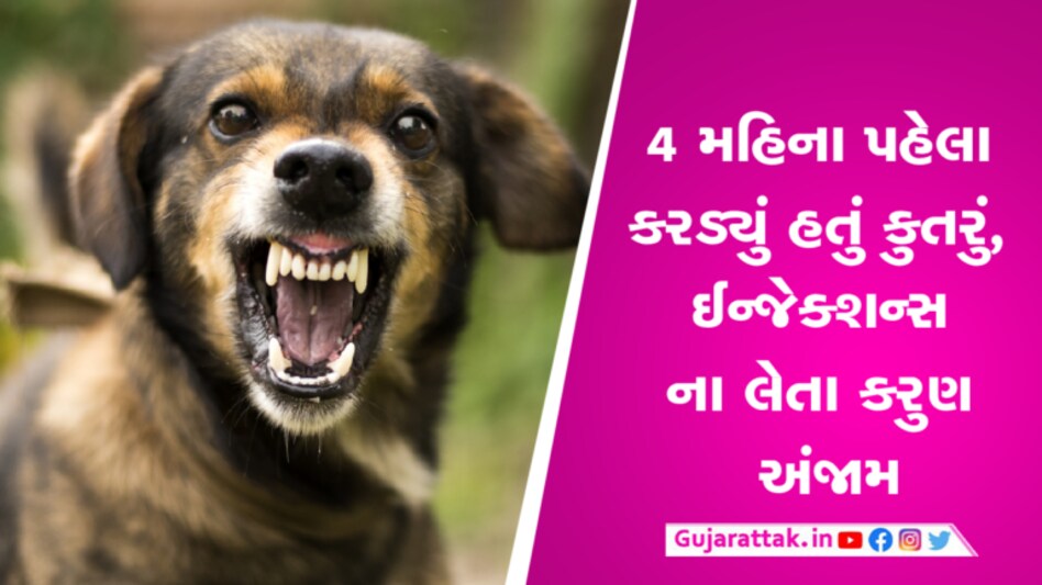 સુરતઃ કુતરું કરડ્યું તો ના લીધી સારવાર, 4 મહિને હડકવા ઉપડતાં મોત સુરતમાં કુતરા કરડવાના બનાવો અવારનવાર સામે આવે છે. તંત્રને તો આમાં જેટલું કહો તેટલું બહેરા કાનની બાજુમાંથી જ જાય છે, પણ સામાન્ય જનતાએ સમજાવું જરૂરી છે.