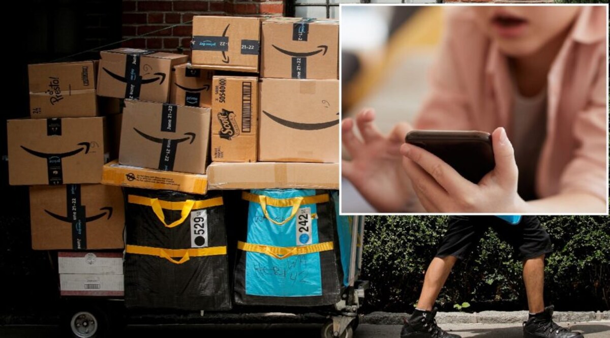 5 વર્ષની બાળકી રડતા માતાએ ફોન આપી દીધો, છોકરીએ ઓનલાઈન 2.47 લાખના રમકડાં ઓર્ડર કરી નાખ્યા gujarattak