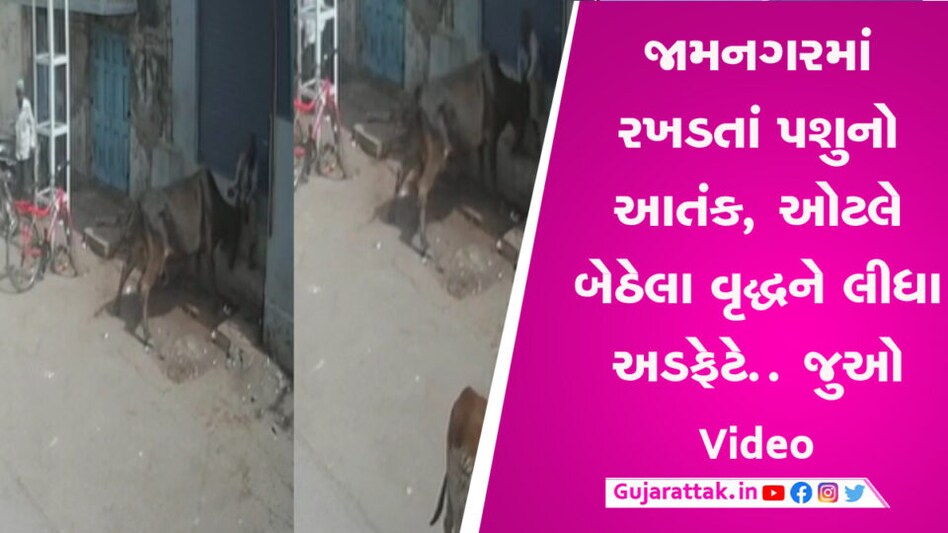 જામનગરમાં રખડતાં પશુનો આતંક, ઓટલે બેઠેલા વૃદ્ધને લીધા અડફેટે… જુઓ Video gujarattak