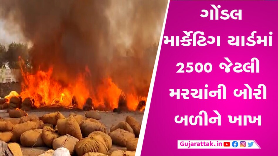 ગોંડલના નવા માર્કેટિંગ યાર્ડમાં મરચાની ગાંસડીઓમાં આગ ભભૂકી, લાખો રૂપિયાના નુકસાનની ભીતિ gujarattak