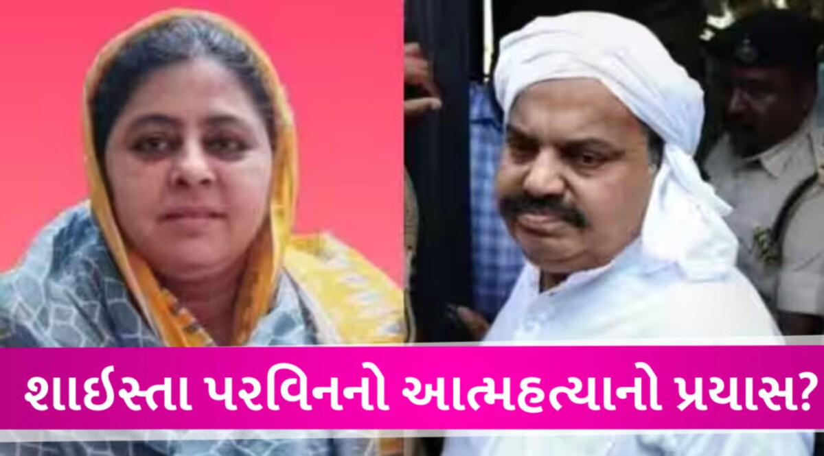 અતીક અહેમદની ઓફીસમાં શાઇસ્તાએ આત્મહત્યાનો પ્રયાસ કર્યો? અનેક ચર્ચાઓએ જોર પકડ્યું! Shaista parveen sucide