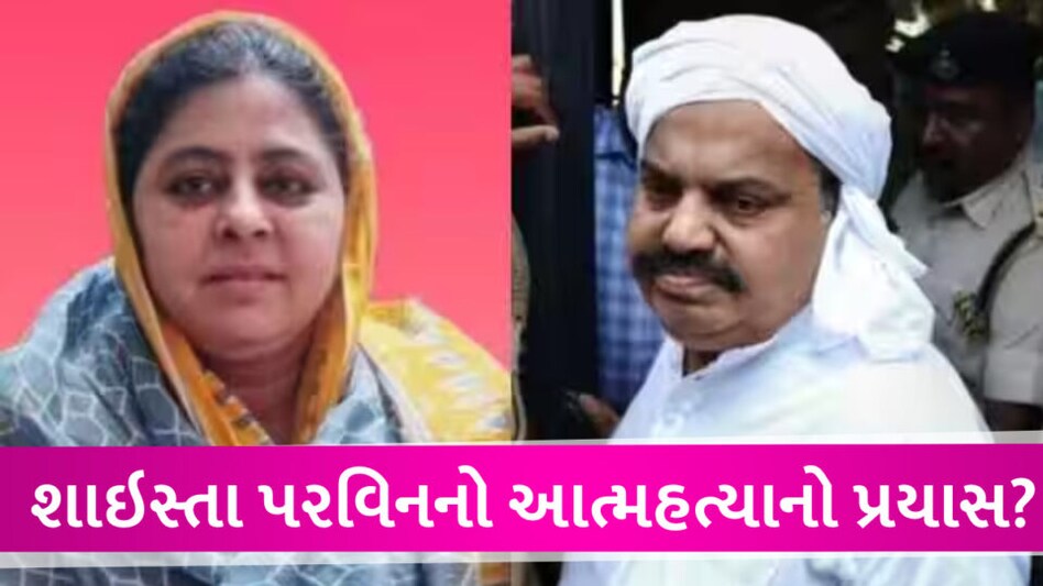 અતીક અહેમદની ઓફીસમાં શાઇસ્તાએ આત્મહત્યાનો પ્રયાસ કર્યો? અનેક ચર્ચાઓએ જોર પકડ્યું! Shaista parveen sucide
