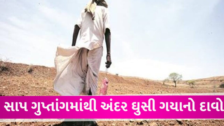 કુદરતી હાજતે ગયેલા યુવકના પ્રાઇવેટ પાર્ટમાંથી સાપ આંતરડામાં ઘુસી જતા પરિવારનો હોબાળો gujarattak