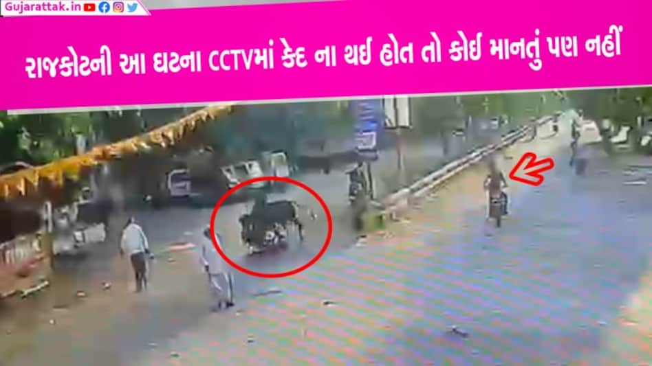CCTV: રાજકોટમાં રખેવાડે ચાલુ બાઈકે લાકડીથી ઢોરને હંકારતા યુવતી આવી અડફેટે CCTV: રાજકોટમાં રખેવાડે ચાલુ બાઈકે લાકડીથી ઢોરને હંકારતા યુવતી આવી અડફેટે