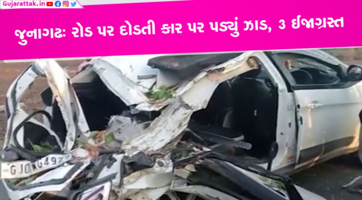 જુનાગઢઃ લગ્નમાંથી પાછા આવતા હતા અને કાર પર પડ્યું ઝાડ, કારનો કચ્ચરઘાણ Junagadh