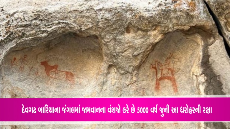 દેવગઢ બારિયાના જંગલોમાંથી મળી હજારો વર્ષ જુની વસ્તું, જામવાનના વંશજો હજી પણ કરે છે રક્ષા rock