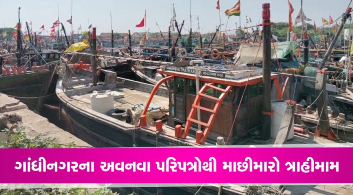 ગાંધીનગરના અવનવા પરિપત્રોથી ત્રાહીમામ માછીમારો આંદોલનના માર્ગે ગાંધીનગરના અવનવા પરિપત્રોથી ત્રાહીમામ માછીમારો આંદોલનના માર્ગે