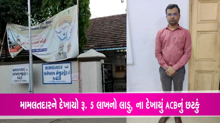 વલસાડઃ મામલતદારના મનમાં ફૂટ્યા 5 લાખ કમાઈ લેવાના લાડુ, પણ થઈ ગયો કચરો Valdad, Umargam, Mamlatdar, acb raid, Bribe case