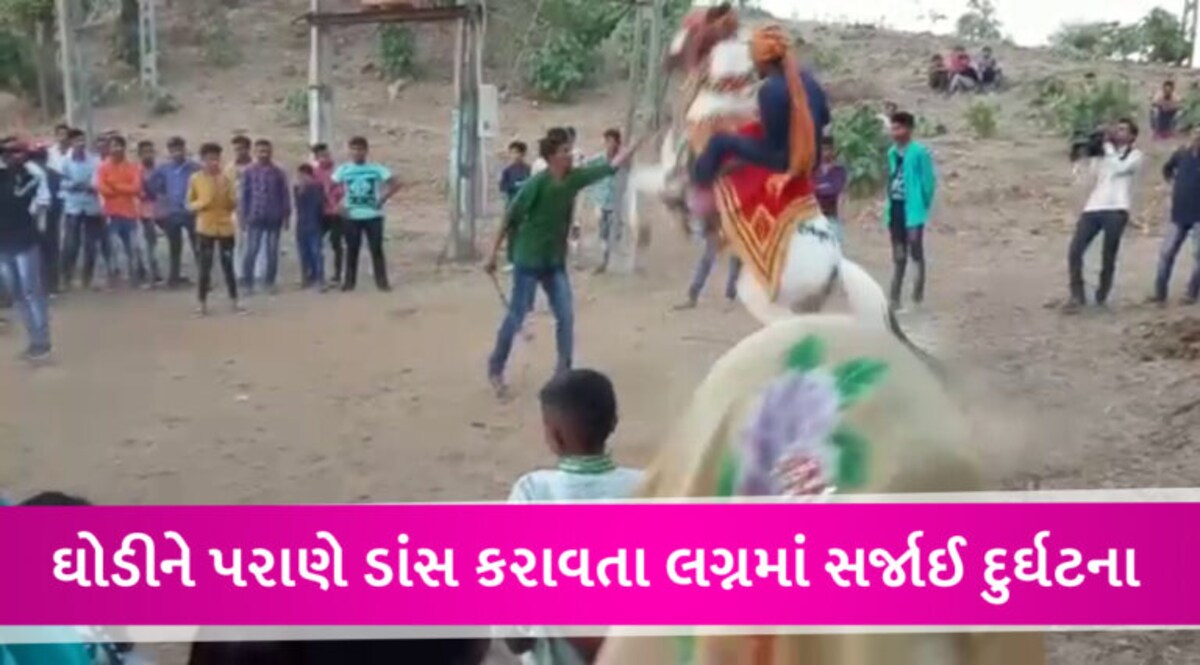 લગ્નમાં ઘોડું ગબડ્યું, મહિસાગરમાં પરાણે ઘોડીને ડાંસ કરાવતા વરરાજા મરતા મરતા બચ્યા, જુઓ VIDEO gujarattak