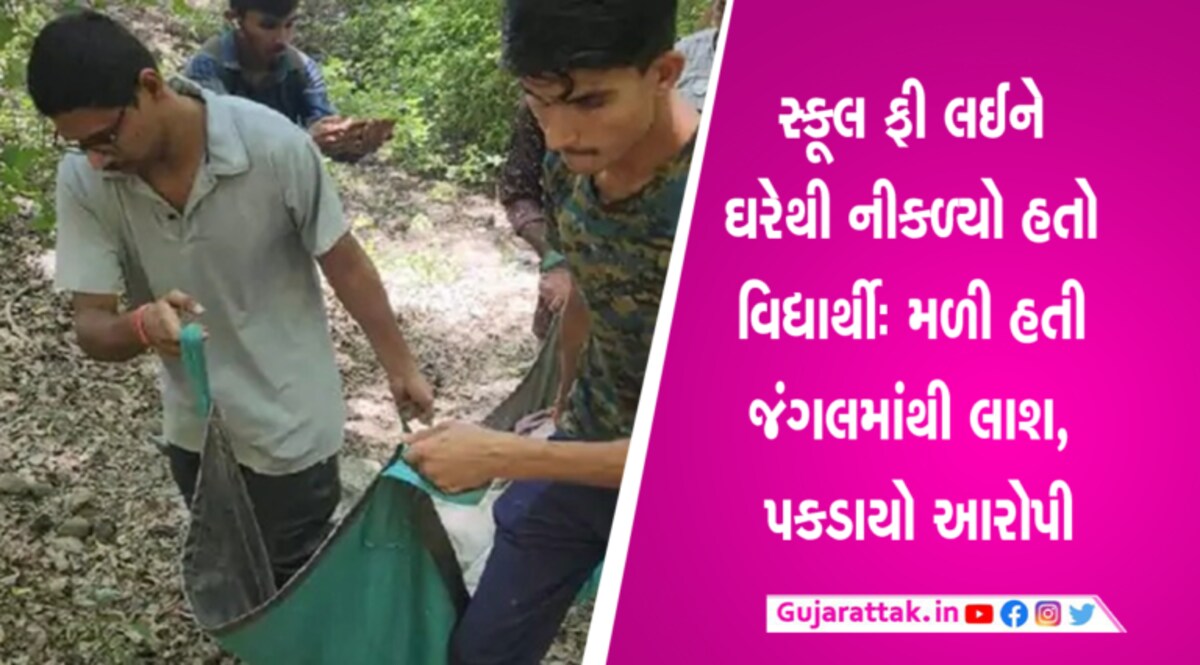 જુનાગઢઃ કિશોરની મળેલી લાશમાં મોટો ઘટસ્ફોટ, અન્ય સગીરે જુગારના મામલે હત્યા કર્યાનું આવ્યું સામે junagadh