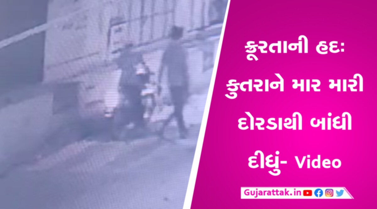 માણસની ક્રૂરતાઃ મોરવા હડફમાં કુતરાઓને માર મારી શખ્સોએ દોરડાથી બાંધી દીધા- CCTV માણસની ક્રૂરતાઃ મોરવા હડફમાં કુતરાઓને માર મારી શખ્સોએ દોરડાથી બાંધી દીધું- CCTV