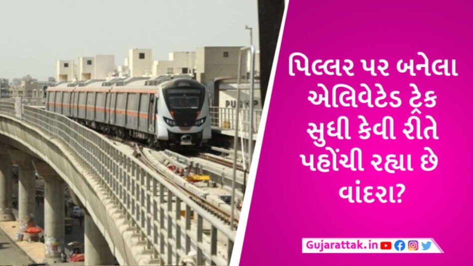 અમદાવાદમાં મેટ્રો ટ્રેક સુધી પહોંચી રહ્યા છે વાંદરાઓ, હોર્ન મારવા છતા ન હટતા ટ્રેન રોકવી પડે છે gujarattak