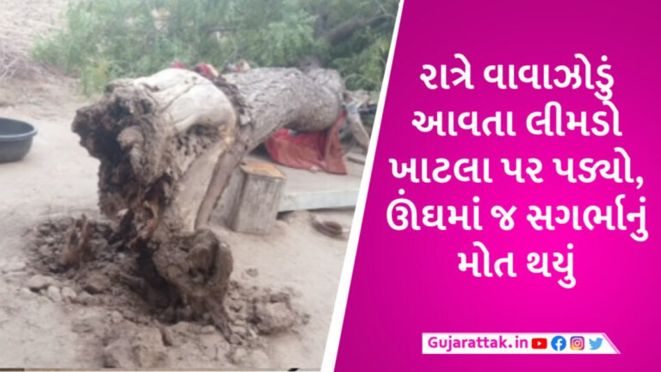 બનાસકાંઠામાં વાવાઝોડથી લીમડાનું ઝાડ નીચે સૂતેલા પરિવાર પર પડ્યું, પ્રેગ્નેટ પત્નીનું મોત, પતિ-દીકરો ઈજાગ્રસ્ત gujarattak