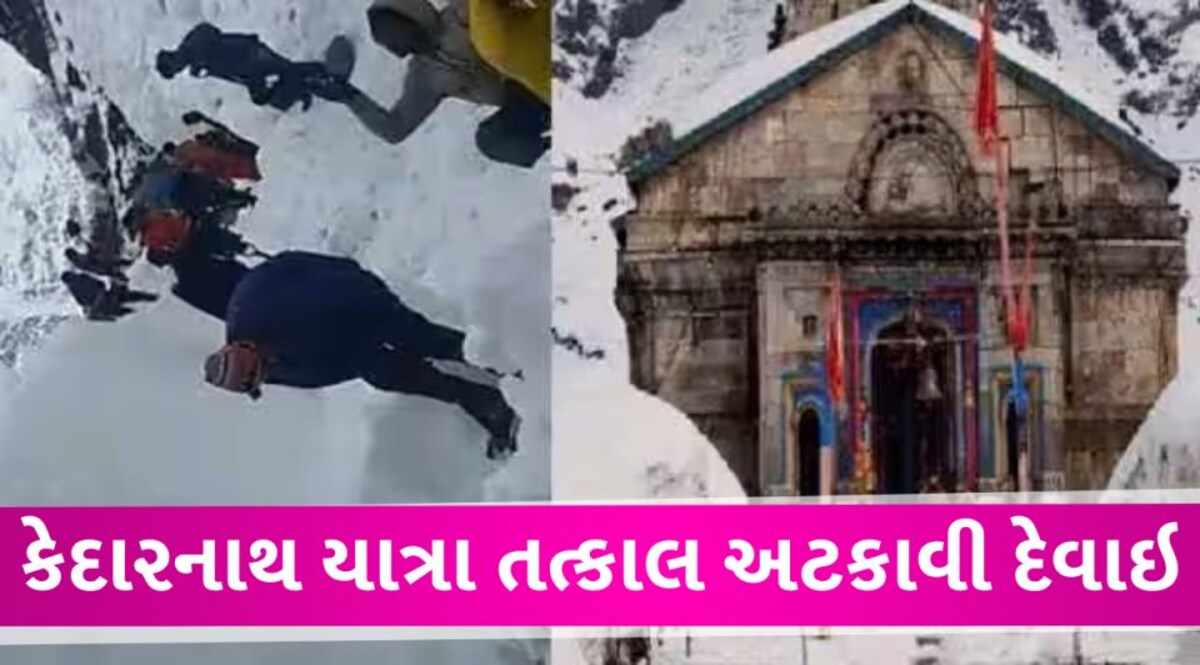 કેદારનાથ સહિત ચારધામ યાત્રા અંગે સૌથી મોટા સમાચાર, યાત્રા અટકાવી દેવા આદેશ Kedarnath Yatra