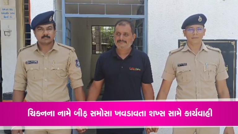 ચિકન બિરયાનીની આડમાં વેચાતા હતા બીફ સમોસાઃ નવસારી પોલીસે રેડ કરતા ઘટસ્ફોટ gujarattak
