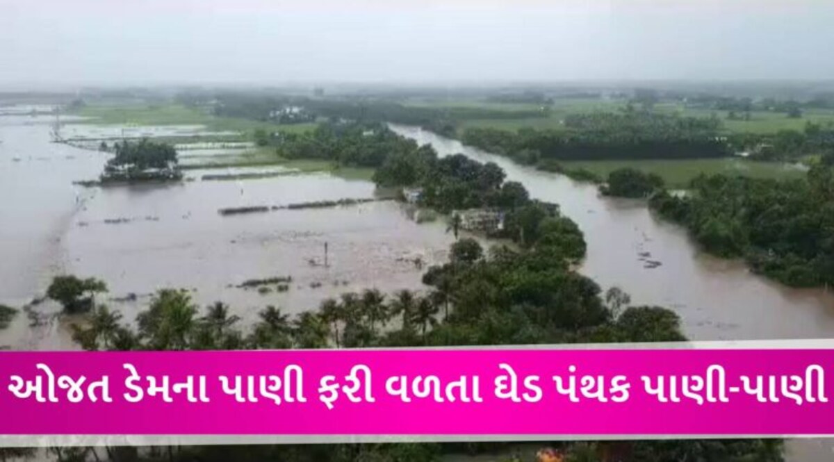 VIDEO: જૂનાગઢમાં ઓજત ડેમમાંથી પાણી છોડાતા ઘેડ વિસ્તારમાં તબાહી, ઘર તણાયા, ખેતરોમાં પાણી ભરાયા gujarattak