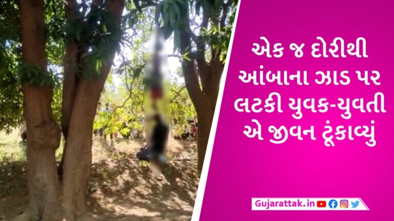 મહિસાગરમાં યુવક-યુવતીએ એક જ દોરીથી આંબાના ઝાડ પર ફાંસો ખાધો, આપઘાતનું કારણ અકબંધ gujarattak