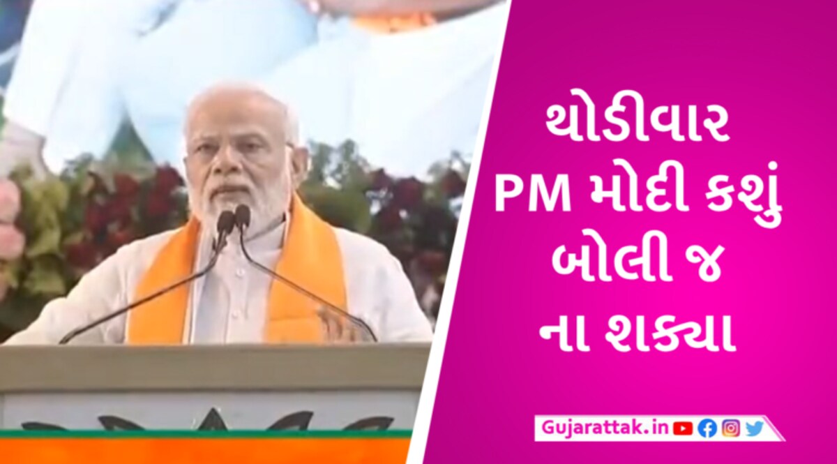 ‘વોટ બેંકની રાજનીતિએ પસમંદા મુસ્લિમોને તબાહ કરી દીધા, તેમને સમાનતા નથી મળી’- મોદીએ કહ્યું gujarattak
