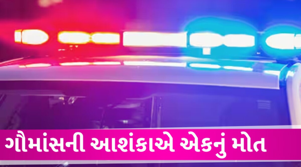NASHIK માં ગૌમાંસ લઇ જવાની આશંકાએ યુવકો પર હુમલો, 1 નું મોત attack on 2 people