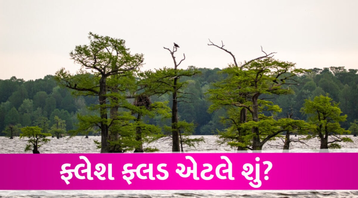 શું છે ફ્લેશ ફ્લડ? હિમાચલમાં તબાહી મચાવનાર આ પુર અન્યોની તુલનાએ વધારે ખતરનાક Flash Flood
