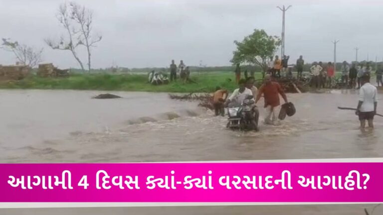 ગુજરાતમાં હજુ 4 દિવસ વરસાદની આગાહી, માત્ર જૂન મહિનામાં જ સીઝનનો 28 ટકા વરસાદ પડી ગયો gujarattak