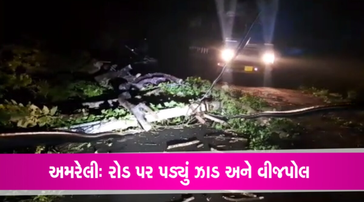 ભારે પવન ફૂંકાયોઃ ધારીના અમરેલી રોડ પર વૃક્ષ થયું ધરાશાયી, 2 વીજપોલ પણ રોડ પર પડ્યા gujarattak