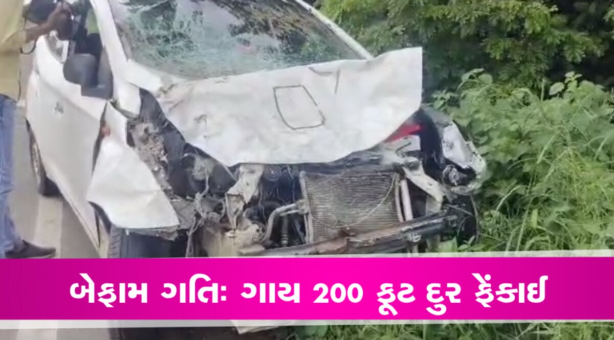 કેવો બેફામ કાર ચાલકઃ મહિસાગરમાં ફોરેસ્ટના ક્રમચારીએ બે ગાયને એવી ભટકાવી કે 200 ફૂટ દૂર ફેંકી દીધીઃ Exclusive gujarattak