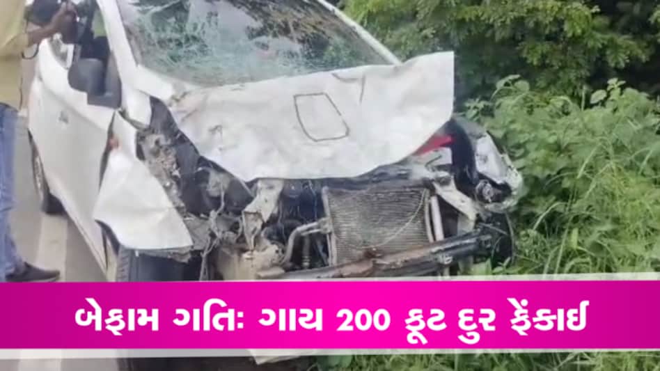 કેવો બેફામ કાર ચાલકઃ મહિસાગરમાં ફોરેસ્ટના ક્રમચારીએ બે ગાયને એવી ભટકાવી કે 200 ફૂટ દૂર ફેંકી દીધીઃ Exclusive gujarattak