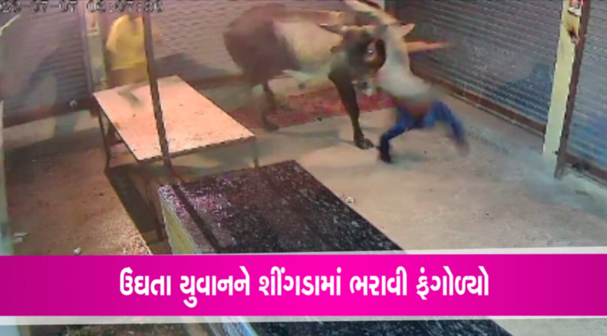 પાટણઃ આખલાએ શાંતીથી સુતા બે યુવાનો પર કર્યો હુમલો, ચોંકાવનારા CCTV આવ્યા સામે gujarattak