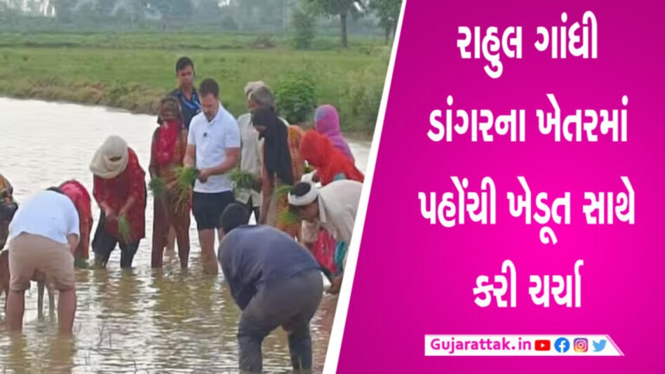 વહેલી સવારે રાહુલ ગાંધી અચાનક ખેડૂતો વચ્ચે પહોંચ્યા, ટ્રેક્ટરથી ખેડયું ખેતર gujarattak