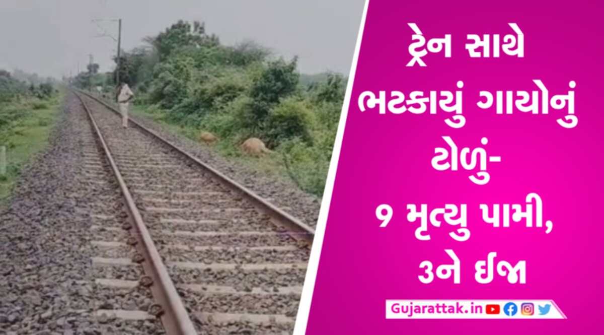 અમદાવાદ-ગોધરા હાઈવે નજીકના રેલવે ટ્રેક પર ટ્રેન સાથે ગાયોની થઈ ટક્કરઃ 9 પશુના મોત gujarattak