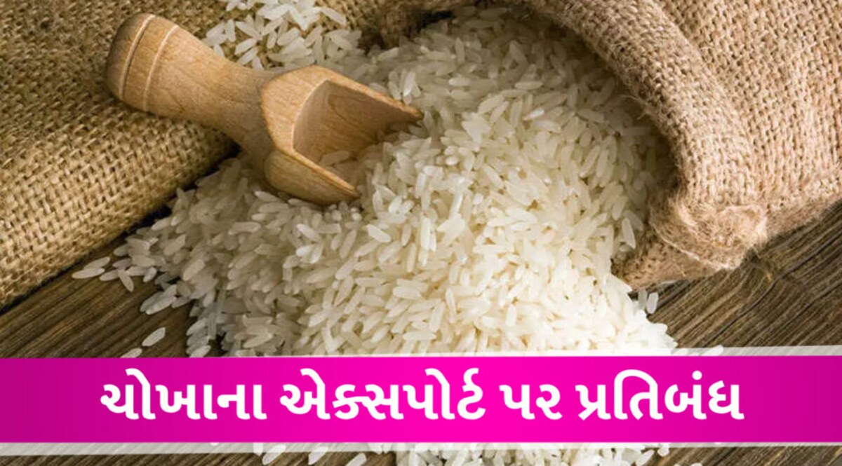ચોખાના નિકાસ પર પ્રતિબંધ: સરકારે ચોખાની નિકાસ પર પ્રતિબંધ લાદ્યો, આ કારણે લેવાયો નિર્ણય Rice Export ban