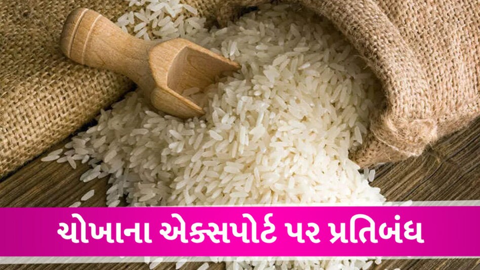 ચોખાના નિકાસ પર પ્રતિબંધ: સરકારે ચોખાની નિકાસ પર પ્રતિબંધ લાદ્યો, આ કારણે લેવાયો નિર્ણય Rice Export ban