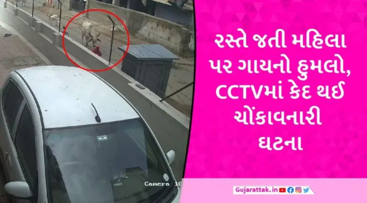 અમદાવાદમાં નીકળો તો રખડતા ઢોરથી ચેતજો, રસ્તે જતી મહિલાને ગાય 20 સેકન્ડ સુધી રગદોળતી રહી gujarattak