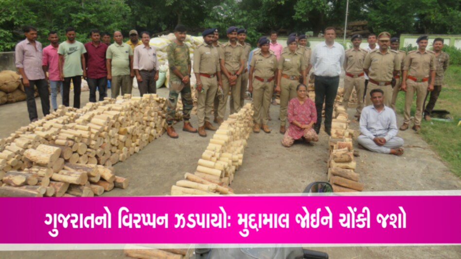 ગુજરાતમાં પ્રથમ વખત મોટી માત્રમાં ચંદનના લાકડા અને પાઉડરનો જથ્થા સાથે ‘વિરપ્પન’ ઝડપાયો gujarattak