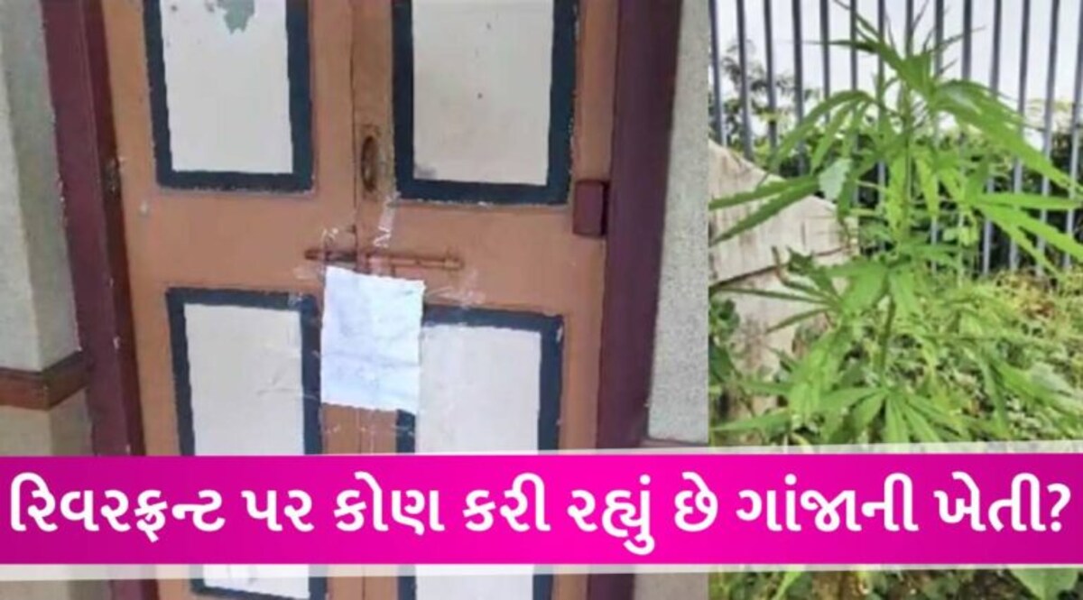 હે રામ! ગુજરાત યુનિ. બાદ હવે રિવરફ્રન્ટ ગાર્ડનમાંથી ગાંજાના છોડ મળ્યા, વિદ્યાપીઠની હોસ્ટેલમાં દારૂ મળ્યો gujarattak