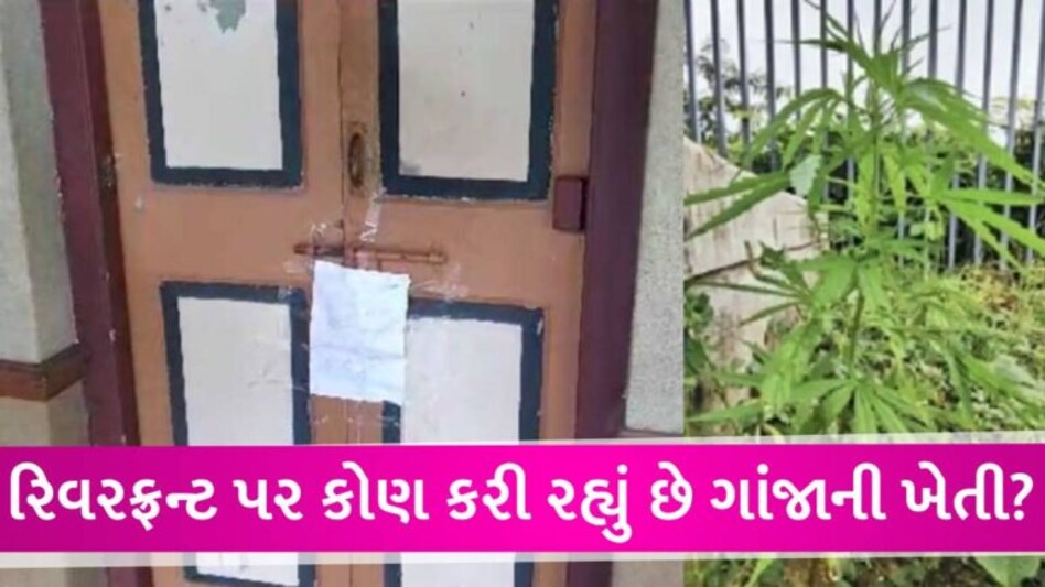 હે રામ! ગુજરાત યુનિ. બાદ હવે રિવરફ્રન્ટ ગાર્ડનમાંથી ગાંજાના છોડ મળ્યા, વિદ્યાપીઠની હોસ્ટેલમાં દારૂ મળ્યો gujarattak