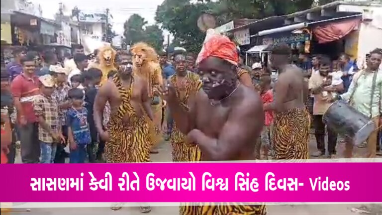 જૂનાગઢઃ ગીર સાસણ ખાતે આવી રીતે ઉજવાયો વિશ્વ સિંહ દિવસ- જુઓ Videos gujarattak