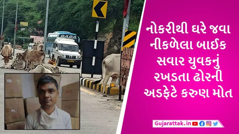 ભાભરમાં બાઈક સવારના ગળામાં આખલાનું શિંગડું ઘુસી ગયું, સારવાર દરમિયાન મોત gujarattak
