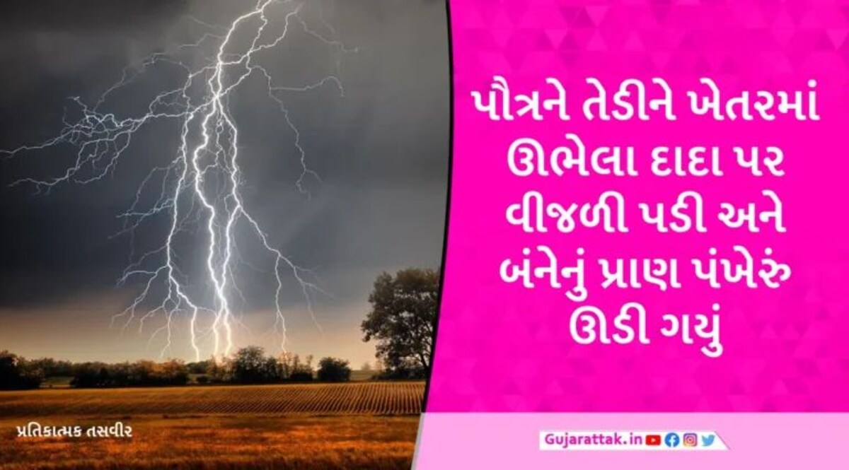 પાલનપુરમાં વીજળી પડતા ખેતરમાં ઊભેલા દાદા-પૌત્રનું કરુણ મોત, બાજુમાં ઊભેલી ગાયનું પણ મોત gujarattak