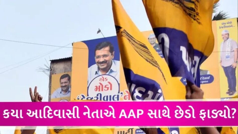 લોકસભા ચૂંટણી પહેલા AAPમાં ભંગાણ, વિધાનસભા ચૂંટણી લડી ચૂકેલા પ્રદેશ ઉપાધ્યક્ષનું અચાનક રાજીનામું gujarattak