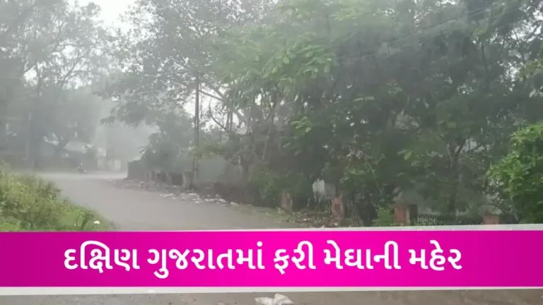 દ. ગુજરાતમાં જામ્યો વરસાદી માહોલ, ચીખલીમાં 6 કલાકમાં 4 ઈંચ વરસાદ, આજે ક્યાં-ક્યાં વરસાદની આગાહી? gujarattak